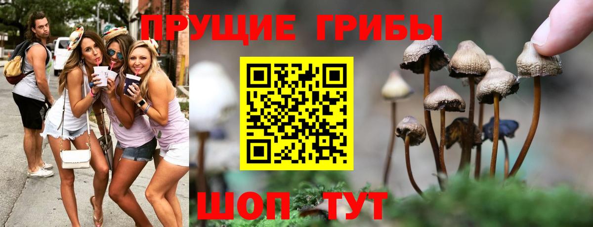 Псилоцибиновые грибы Psilocybe Красный Сулин