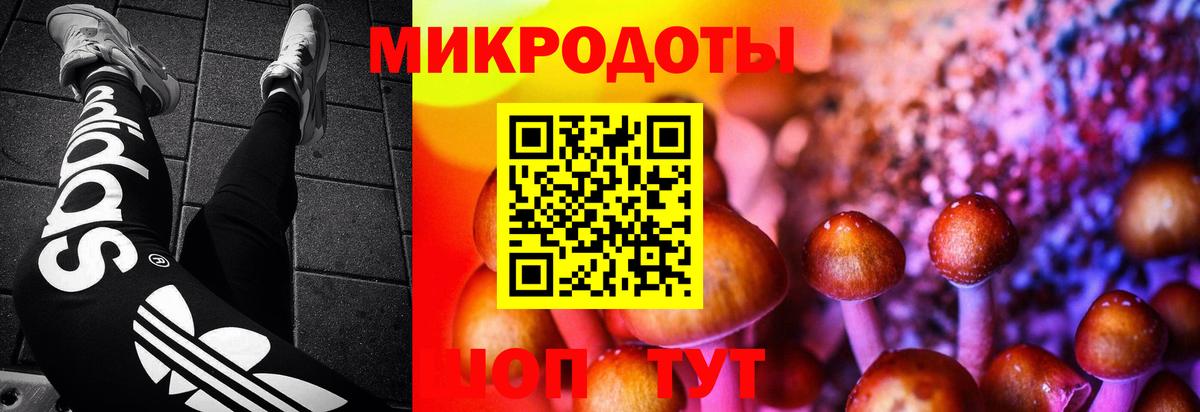 Галлюциногенные грибы Psilocybe  Псилоцибиновые грибы мицелий  Вход с VPN  Красный Сулин 